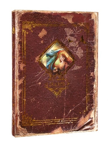 DRACONIS - Studienbuch (Artbook)